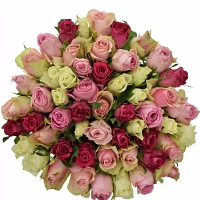 Míchaná kytice 55 vícebarevných růží AKILINA 50 cm