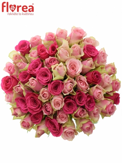 Kytice 55 míchaných růží ALHIVIA 50cm