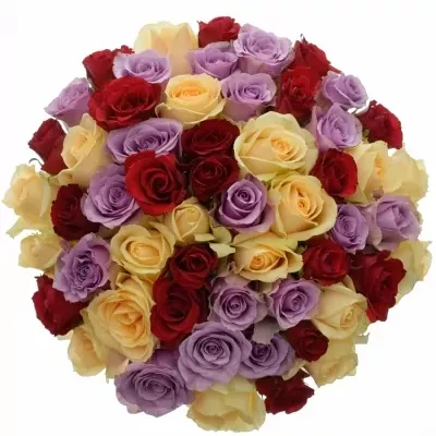 Míchaná kytice 55 vícebarevných růží DEVORAH 50 cm