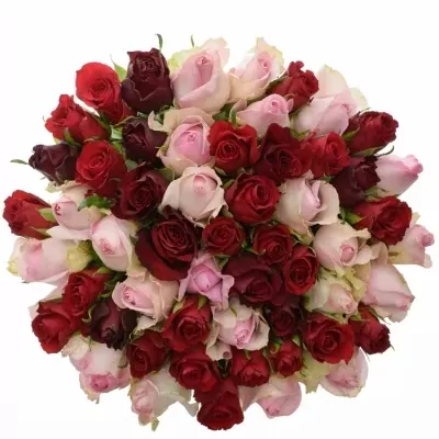 Míchaná kytice 55 vícebarevných růží DEVRIA 50 cm