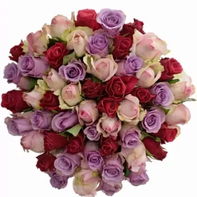 Kytice 55 vícebarevných růží DIANNE 60 cm
