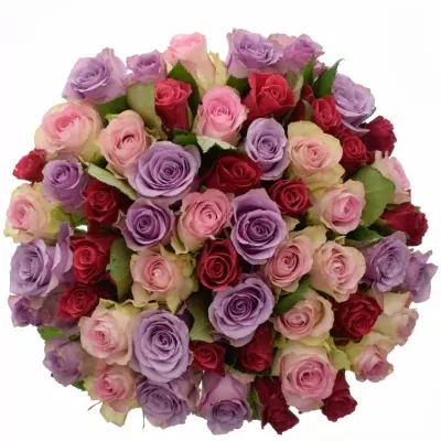 Kytice 55 vícebarevných růží DINORAH 50 cm