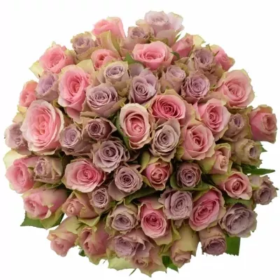 Kytice 55 vícebarevných růží IKIA 50 cm