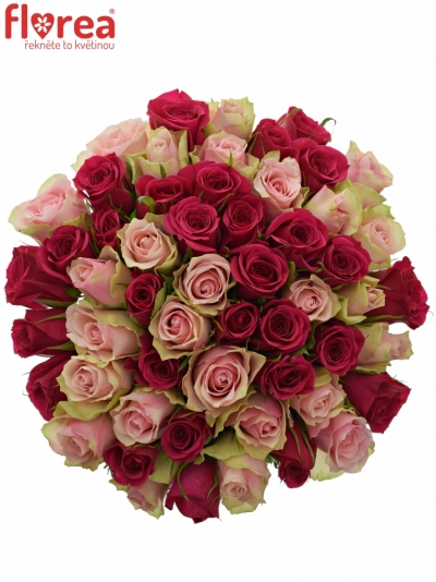 Kytice 55 míchaných růží LILA CANDRA 60cm