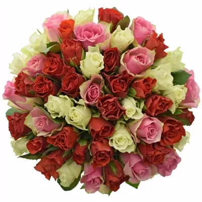 Kytice 55 vícebarevných růží MAHA 45 cm