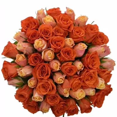 Kytice 55 míchaných růží ORANGE CANDRA 40cm