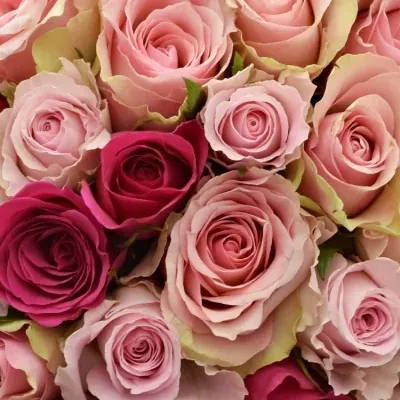 Kytice 55 míchaná SORIOSA