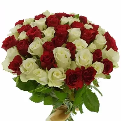 Kytice 55 míchaných růží AGATHA 40cm