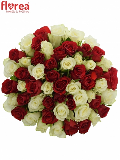 Kytice 55 míchaných růží AGATHA 60cm
