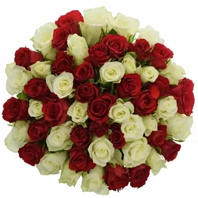 Míchaná kytice 55 vícebarevných růží AGATHA 60 cm