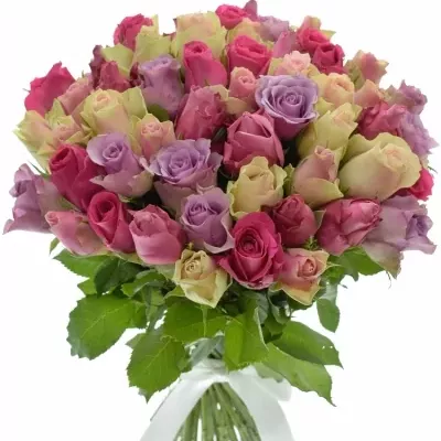 Kytice 55 míchaných růží AKEMI 50cm