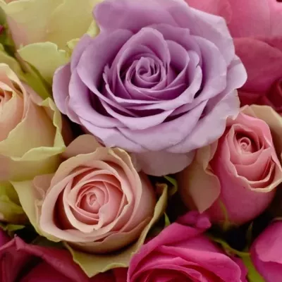 Kytice 55 míchaných růží AKEMI 50cm