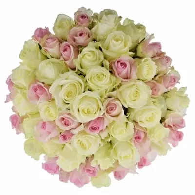 Míchaná kytice 55 vícebarevných růží AMELIA 40 cm