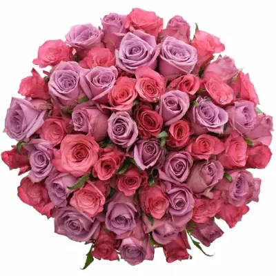 Kytice 55 míchaných růží BENAYA 60cm