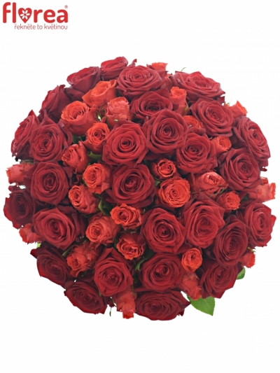Kytice 55 míchaných růží BERENIKE 55cm