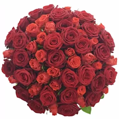 Kytice 55 míchaných růží BERENIKE 50cm