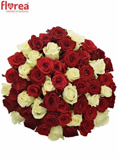 Kytice 55 míchaných růží CHRISTELLE 50cm