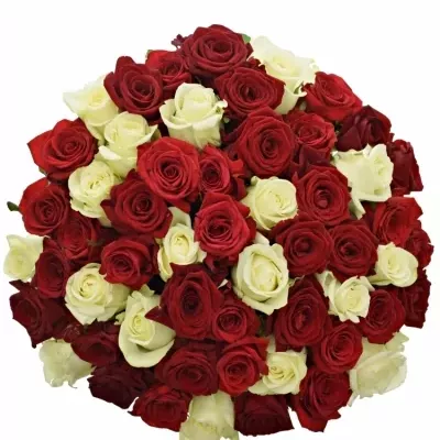 Míchaná kytice 55 vícebarevných růží CHRISTELLE 50 cm
