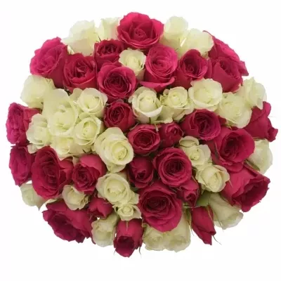 Míchaná kytice 55 vícebarevných růží CRONUS 45 cm