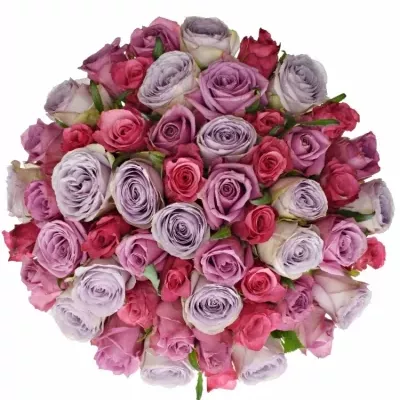 Kytice 55 míchaných růží DARIELLA 40cm