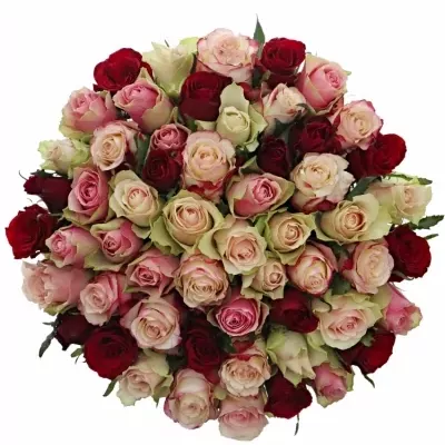 Kytice 55 míchaných růží EBIGALE 50cm