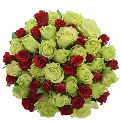 Míchaná kytice 55 vícebarevných růží GRAZYNA 50 cm