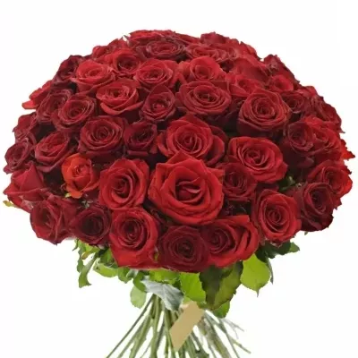 Kytice 55 míchaných růží JOANNA 50cm