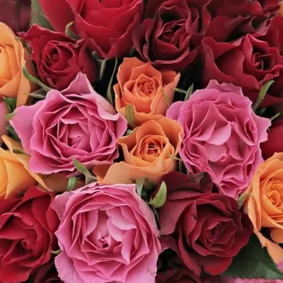 Kytice 55 míchaných růží KATRIEL 40cm