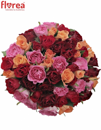 Kytice 55 míchaných růží KATRIEL 50cm