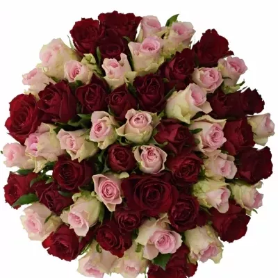 Kytice 55 míchaných růží MADAM BISOU 40cm