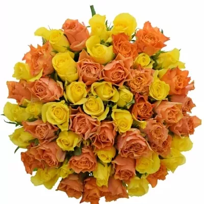 Kytice 55 míchaných růží MARYWALK 50cm
