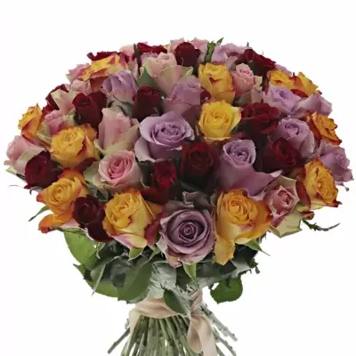 Kytice 55 míchaných růží MIRIAM 50cm