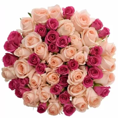 Kytice 55 míchaných růží PINACHE 40cm
