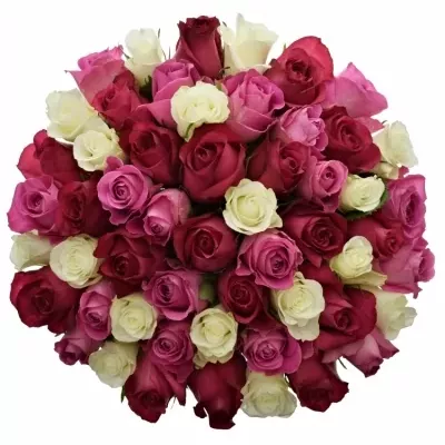 Kytice 55 míchaných růží PURPLE DANCE 40cm