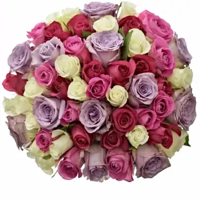 Kytice 55 míchaných růží PURPLE NAOMI 50cm