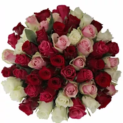 Kytice 55 míchaných růží RADWAN 40cm
