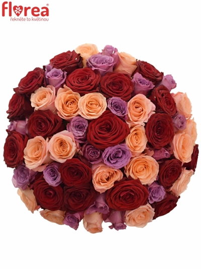 Kytice 55 míchaných růží RED LADY ORLEA 40cm