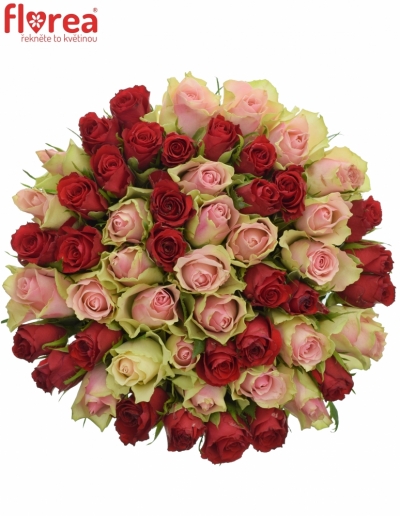 Kytice 55 míchaných růží ROSEBELLINE 40cm