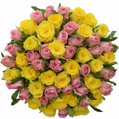 Míchaná kytice 55 vícebarevných růží SHANLEY 50 cm