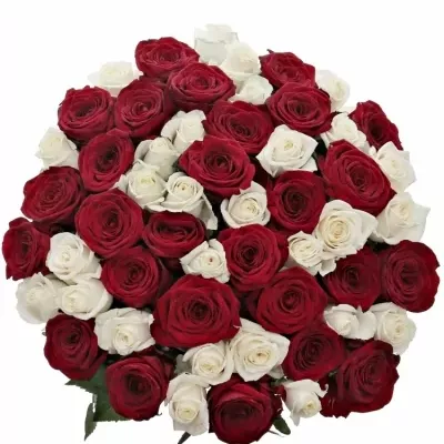 Kytice 55 míchaných růží TAMARA 50cm