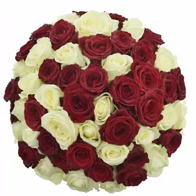 Kytice 55 míchaných růží THINA 50cm