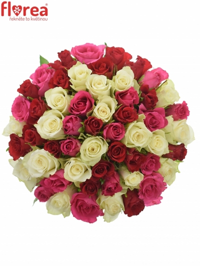 Kytice 55 míchaných růží WHITE GRACIANA 35cm