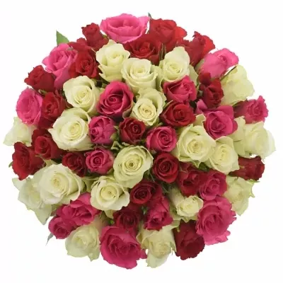 Míchaná kytice 55 vícebarevných růží WHITE GRACIANA 50 cm