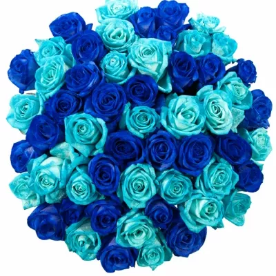 Kytice 55 modrých růží BLUE ADRIANA 60cm