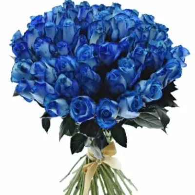 Kytice 55 modrých růží BLUE SNOWSTORM+ 40cm