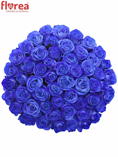Kytice 55 modrých růží BLUE VENDELA