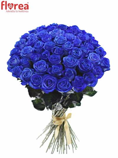 Kytice 55 modrých růží BLUE VENDELA