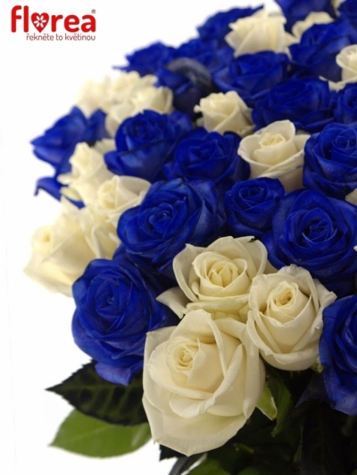 Kytice 55 modrých růží MARIANNA