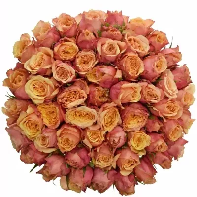 Kytice 55 oranžovočervených růží ALTAMODA 70cm