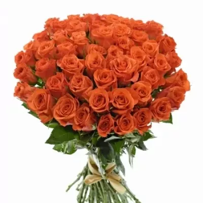 Kytice 55 oranžových růží ALMANZA